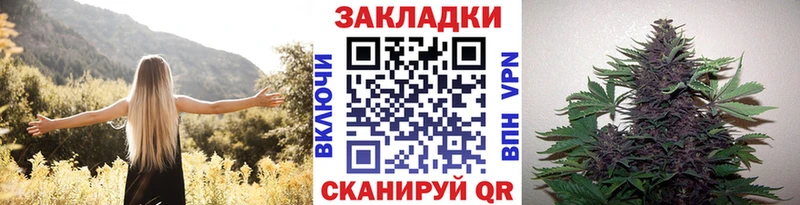 Лсд 25 Невельск