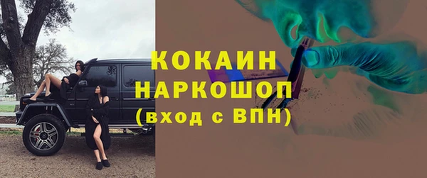 альфа пвп Гусев