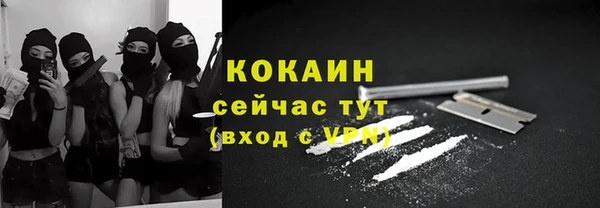 альфа пвп Гусев
